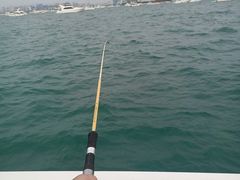 -小猫钓鱼海钓俱乐部(椰梦长廊店)