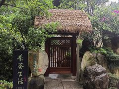 -中国茶叶博物馆(双峰馆区)