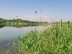 -马家湾湿地公园