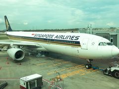 -新加坡航空公司(ION)