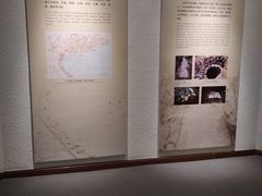 -南越王博物院(王宫展区)