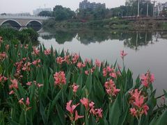 -海珠湖公园