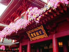 -新加坡佛牙寺龙华院
