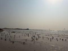 -老虎石海上公园