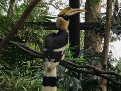 -广州长隆旅游度假区