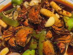 -杨氏青龙虾·羊蝎子(托乐嘉店)