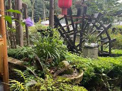 -青城甲(青城山店)