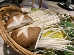 -同仁四季椰子鸡(福田东园总店)