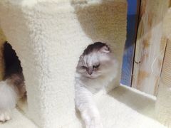 -小时光咖啡馆(开森度假森林店)