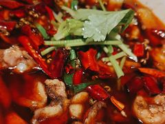-杨氏青龙虾·羊肉季(金盛路总店)