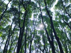 -同里国家湿地公园