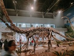 -自贡恐龙博物馆