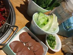 -青瓷火锅料理(西单大悦城店)