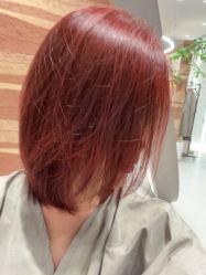 -MY HAIR ARDOR