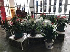 -青岛德国总督楼旧址博物馆