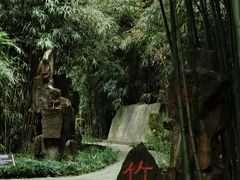 -望江楼公园