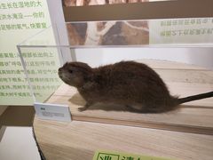 -中国湿地博物馆