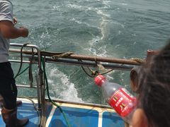 -日照灯塔风景区