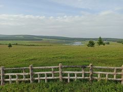 -塞罕坝国家级自然保护区