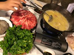 -鲜入围煮花胶鸡海鲜火锅