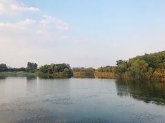 -上海市保健医疗中心