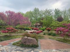 -洛阳市隋唐城遗址植物园