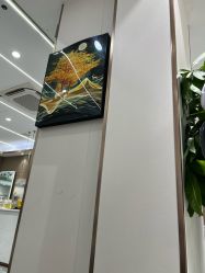 -MODEL SAGA名媛世家