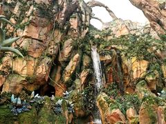 -奥兰多迪士尼动物王国乐园