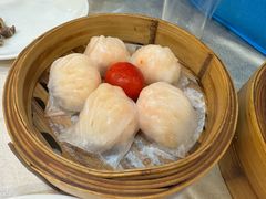 -益健美食大广场(北岭店)