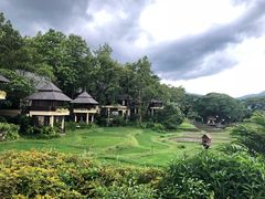 -四季酒店下午茶