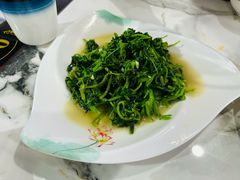 泉水菜-途肴·老农饭庄(百里峡店)