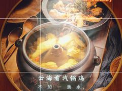 -云海肴·汽锅鸡·云南菜(高德置地店)