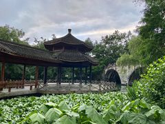 -西溪国家湿地公园