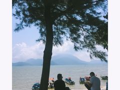 -西涌国际滨海旅游区