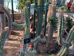 -北京植物园-展览温室