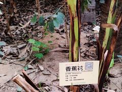 -呀路古热带植物园