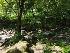-香炉山国家森林公园