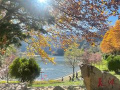 -秦岭终南山世界地质公园翠华山景区