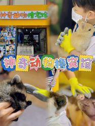 -神奇动物撸宠馆·羊驼·小浣熊·异宠(豫园店)