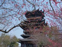 -杭州半山国家森林公园