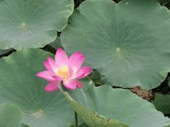 -天津东丽湖风景区