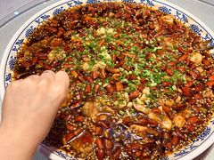-新概念来凤鱼(璧山店)