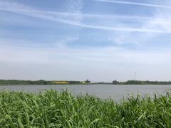 -西青郊野公园