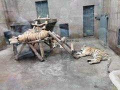 -西安秦岭野生动物园