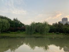 -堤角公园
