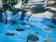 -泉城欧乐堡海洋极地世界