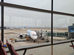 -广州白云国际机场-T2航站楼
