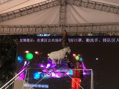 -南京银杏湖乐园