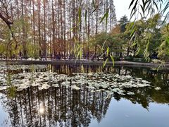 -八大关景区