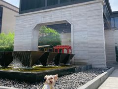 -上海崇明金茂凯悦酒店